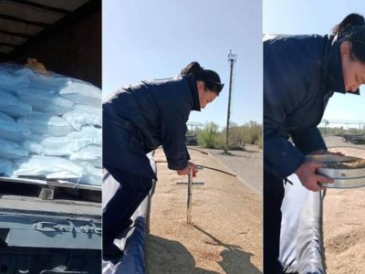 Қазақстанға Ресейден залалды арпалар жеткізілген