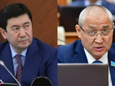 "Итке өкпелеп, Жаңбыршин де біраз жерге барды": Жануарларға қатысты заңға нүкте қойылды