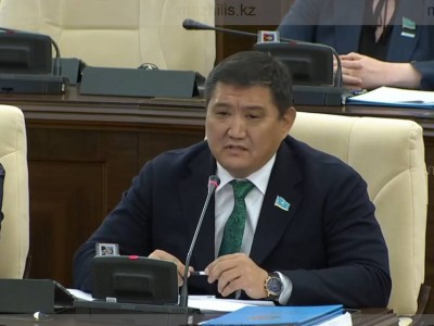 Ұшақ билеттері неге арзандамады? Депутат Базарбек Үкіметті сынға алды