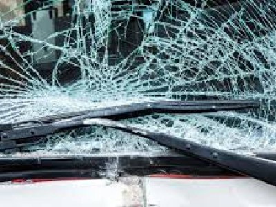 Тойға бара жатқан отбасы мүшелерінің бәрі тіл тартпай кетті