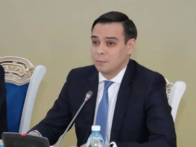 «Адамды ұрлау» Конституцияға қайшы келеді және қылмыс болып саналады