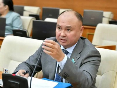 Депутат «AMANAT» партиясы туралы сөз қозғады