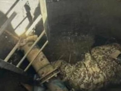 15 жастағы жігіт ағасын айуандықпен өлтіріп, құдыққа тастаған