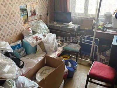 Жігіт қарындасын өлтіріп, денесін бөлшектеп тастаған