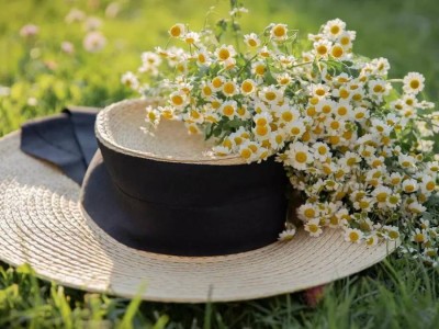 Бүгін еліміздің бір мегаполисінде күн 37 градусқа дейін ысиды