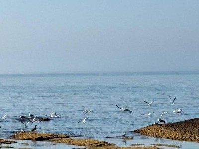 Каспий теңізінің тартылуын тоқтату мүмкін емес – мамандар дабыл қақты