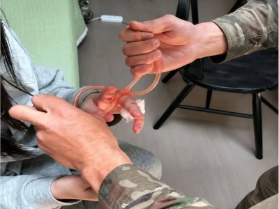 Көлсай көлдерінде 16 жастағы қызды жылан шағып алды