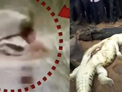 Қолтырауын 12 жастағы баланы туыстарының көз алдында жеп қойды (ВИДЕО)