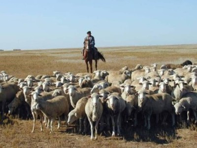 Ақтөбе облысында мал бағып жүрген 14 жастағы бала көз жұмды
