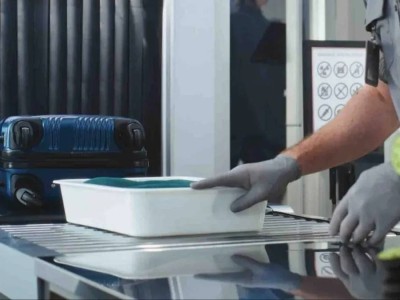 Бангкоктен екі чемодан әкелмек болған қазақ қызы 16 жылға сотталды