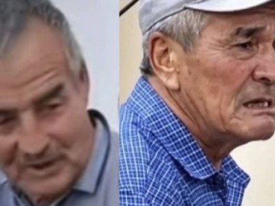 100 жылқы дауы: Мал дәрігері маңызды мәлімдеме жасады (ВИДЕО)