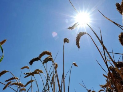 5 қыркүйекте Қазақстанның басым бөлігінде күн жылы болады