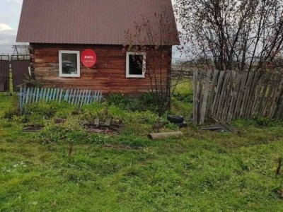 Ресейде аю үйге басып кіріп, 66 жастағы әжейді талап өлтірді