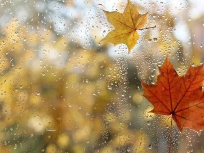 Қазақстанда 11 градусқа дейін аяз болады: 27 қазанға арналған ауа райы болжамы