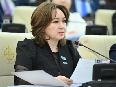 Жаңа Азаматтық кодексте адам құқықтары басты бағдар болуы тиіс – Снежанна Имашева