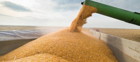Қазақстан астық өнімдері экспортын арттырды.
