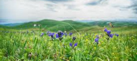 Тарбағатайда туған әнші қыз.