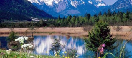 Алтын Орданың мұрагерлеріміз, Мәскеу княздігі алым-салық төледі- Назарбаев.