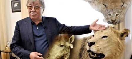 Танымал заңгер Аймағамбетовтен академия президентінің әрекетін назарға алуды сұрады.