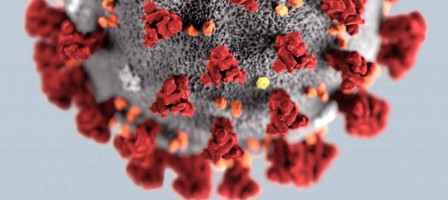 Бір аптада 211 адам коронавирустан қайтыс болды.