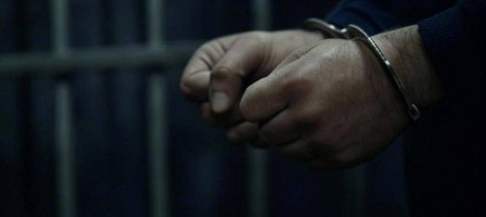 Жетісуда орманшылар қызыл кітапқа енген қарақұйрықтарды заңсыз аулағаны үшін сотталды.