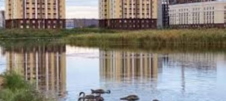 «Иіс, маса болмайды»: Кіші Талдыкөлдегі тіршілік жандана түседі.