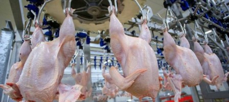 Түркия Қазақстаннан мал мен құс өнімдерін әкелуге қойылған шектеуді алып тастады.