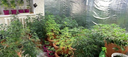 Есірткі өндірісі үшін өмір бойы бас бостандығынан айыру жоспарлануда.