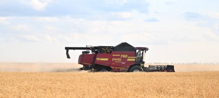 Жыл қорытындысы: Елімізде дәнді дақылдар жинаудан рекордтық көрсеткішке қол жеткізілді.