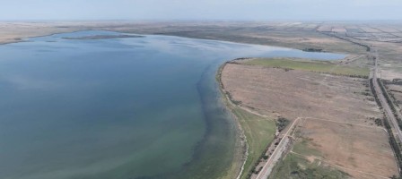 Сорбұлақ мәселесі: Данияр Қасқарауов Үкімет деңгейінде шешуді талап етті
