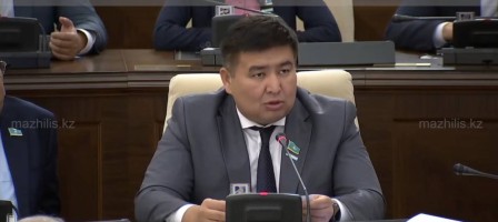 Депутат жолақының 500 теңгеге дейін көтерілуін абсурд деп атады