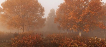 30 қазан күнгі ауа райы болжамы