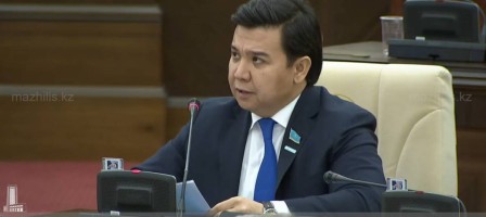 Мәжіліс депутаты некесіз баласы барын растады