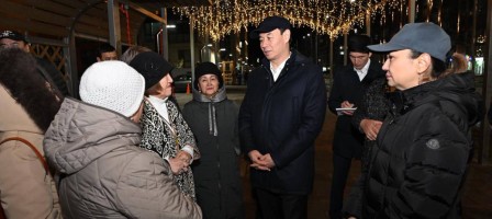 Әкім тұрғын үй кешендердегі сәулеттік жарықтандыру жобаларымен танысты