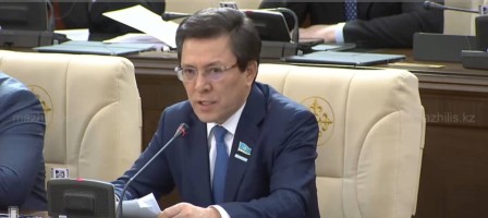 Мемлекеттік қолдауды жылдар бойы бірдей компаниялар алып келген