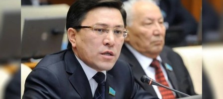 Ұлттық құрылтай: депутат облыс бюджетін бөліп, ауданның өз еншісін беруді ұсынды