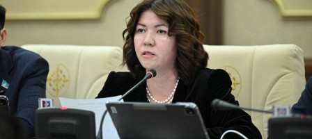 Заң талабына сай келмейтін жекеменшік мектептер жабылады – Жұлдыз Сүлейменова