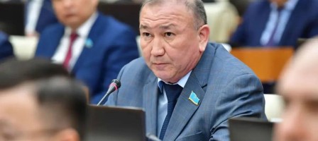 Қазақстанда саяси партиялардың қаржыландыруын бақылауды күшейтуді ұсынды
