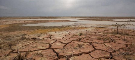 Сарапшылар су тапшылығының Қазақстан мен Орталық Азияға әсері туралы айтты