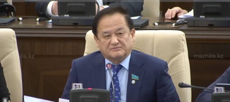 Тілге қатысты кез келген қатаң шешім сыртқы күштерге ақпараттық, саяси манипуляция жасауға дайын аргумент – Қазыбек Иса