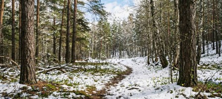 Қазақстан бойынша бүгінге дауылды ескерту жарияланды