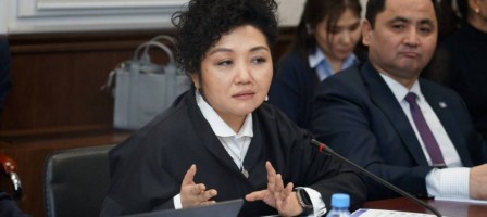 Жаңа Конституция цифрлық дәуірде адам құқықтарын қорғауды күшейтеді – «Әділ сөз» қорының президенті