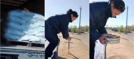 Қазақстанға Ресейден залалды арпалар жеткізілген