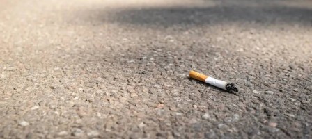 Ауыл тұрғыны темекі тұқылын тастағаны үшін қоғамдық жұмысқа тартылды