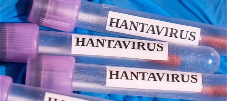 Францияда хантавирустың алғашқы жағдайы тіркелді