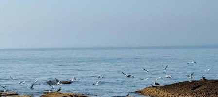Каспий теңізінің тартылуын тоқтату мүмкін емес – мамандар дабыл қақты