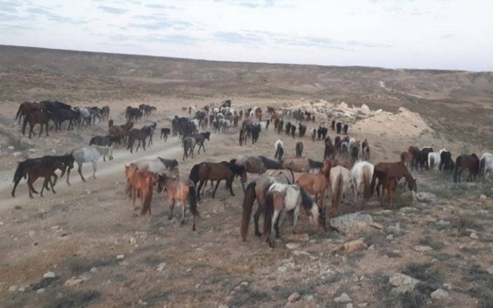 Министрлік халықтан ақша сұрап, реквизит жариялады.