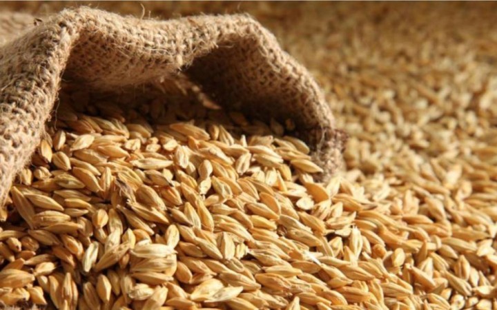 Павлодарда 5 мың тонна астық шіріп кетудің алдында тұр.