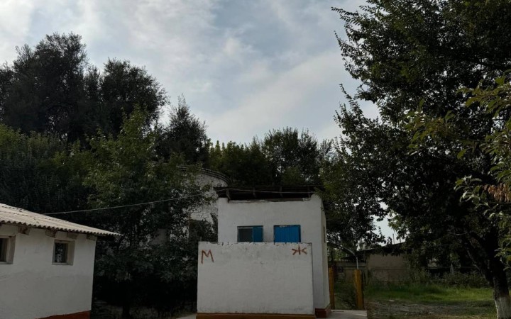 Түркістан облысы: Зорланған 15 жасар қыз, күнде таяқ жейтін төрт бала, бопсалау, буллинг.