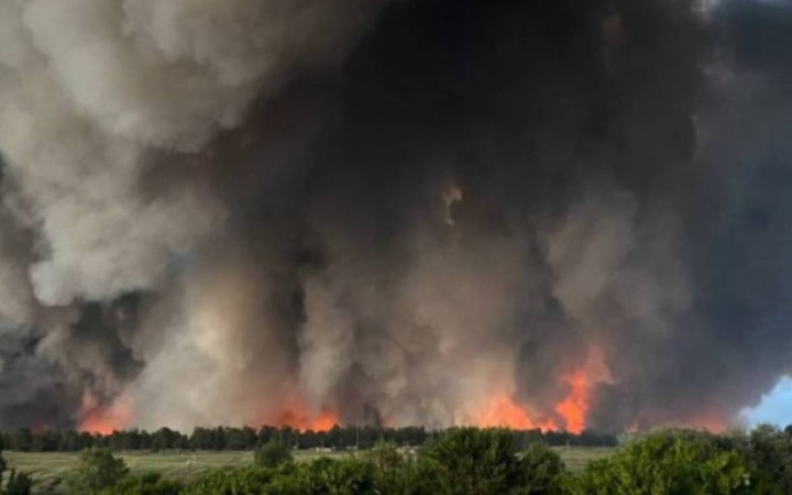 Абай облысындағы ірі орман өртіне қатысты қылмыстық іс сотқа жолданды.